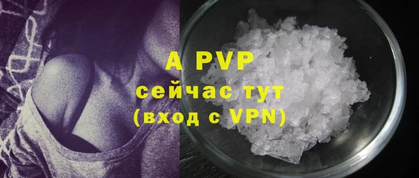 apvp Верея